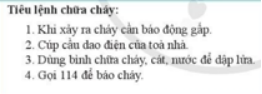 Theo nội dung trong file ảnh, để tạo danh sách liệt kê có đánh dấu bằng ký hiệu, em sử dụng lệnh nào? (ảnh 1)