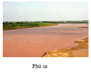 Cho hình ảnh sau: (ảnh 1)