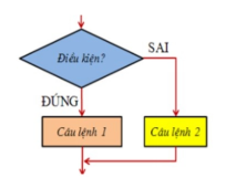 Hình bên dưới là cấu trúc rẽ nhánh dạng:  (ảnh 1)