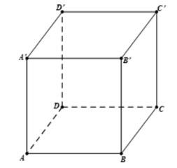 Cho hình hộp ABCD.A'B'C'D'. Vectơ nào sau đây là vectơ đối của \(\overrightarrow {AB} \)? (ảnh 1)