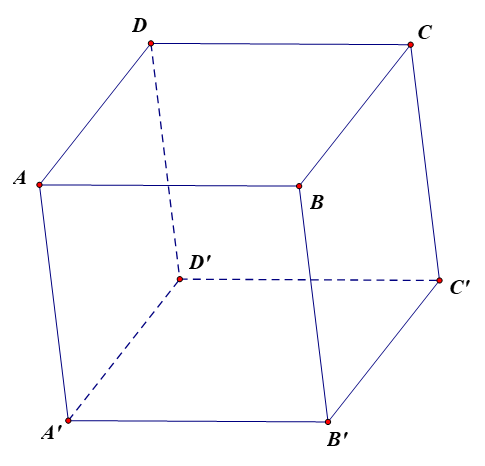 Cho hình hộp ABCD.A'B'C'D'. Vectơ nào sau đây cùng phương với vectơ \(\overrightarrow {AB} \)? (ảnh 1)