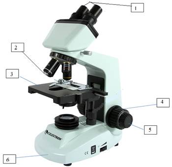 A white microscope with text below

AI-generated content may be incorrect.