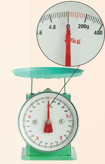 A close-up of a scale

AI-generated content may be incorrect.