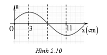 Sóng truyền dọc theo trục Ox có đồ thị như hình.  Bước sóng của sóng là bao nhiêu cm ? (ảnh 1)