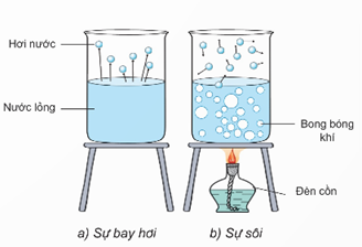 Trong các phát biểu sau, phát biểu nào đúng, phát biểu nào sai? a. Nước sôi ở 100 oC. (ảnh 1)