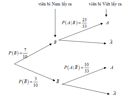 (Đúng hay sai) Sơ đồ cây biểu thị tình huống trên là (ảnh 1)