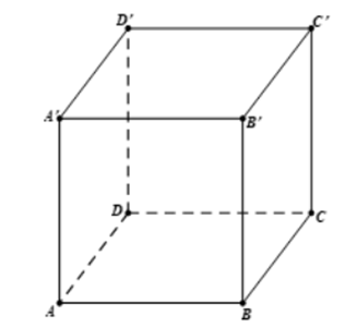 Cho hình hộp ABCD.A'B'C'D'. Số đo góc giữa hai vectơ \(\overrightarrow {AA'} \) và \(\overrightarrow {CD} \) là (ảnh 1)