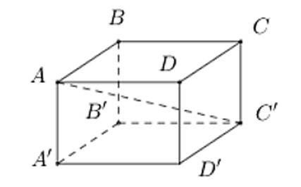 Cho hình hộp chữ nhật ABCD.A'B'C'D' (tham khảo hình vẽ dưới). Khẳng định nào dưới đây đúng?
 (ảnh 1)
