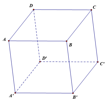 Cho hình hộp ABCD.A'B'C'D'. Vectơ \(\overrightarrow {BA} \) bằng với vectơ nào sau đây? (ảnh 1)