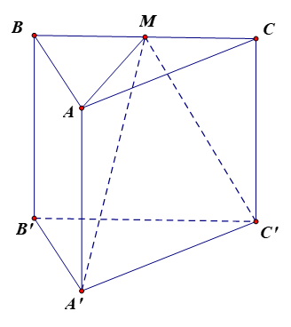 Cho lăng trụ tam giác đều ABC.A'B'C' có AB = a và \(AA' = a\sqrt 2 \). Khi đó:
(a) \(\overrightarrow {AC} = \overrightarrow {AB} + \overrightarrow {BC} \).
(b) Gọi M là trung điểm BC. Khi đó  (ảnh 1)