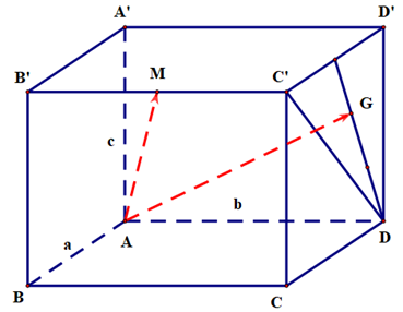 A diagram of a rectangle with lines and letters
Description automatically generated