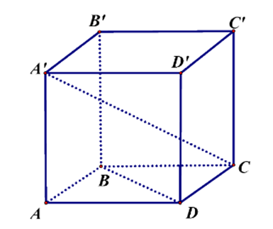 a) \(\overrightarrow {BD}  = \overrightarrow {B'D'} \).  b) \(\left| {\overrightarrow {A'C} } \right| = \left| {\overrightarrow {AC'} } \right| = \sqrt 3 \). (ảnh 1)