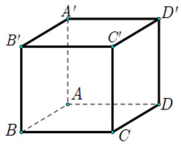 Cho hình lập phương \(ABCD.A'B'C'D'\) có cạnh 2 (tham khảo hình vẽ dưới).    Độ dài vectơ \(\vec u = \overrightarrow {A'C'}  - \overrightarrow {A'A} \) bằng (ảnh 1)