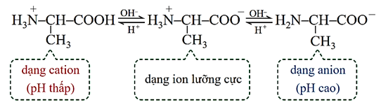 A diagram of a chemical formula

AI-generated content may be incorrect.