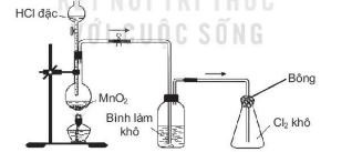 Tẩm vào bông đậy bình thu khí để hạn chế  (ảnh 1)