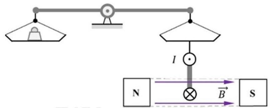 Một khung dây dẫn hình vuông, cạnh a = 10 cm có 200 vòng dây. Khung được treo thẳng đứng dưới một đĩa cân. Cạnh dưới của khung nằm ngang trong từ trường đều của nam châm chữ (U) và vuông góc với  (ảnh 1)