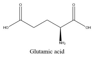 A structure of a glutamic acid

AI-generated content may be incorrect.