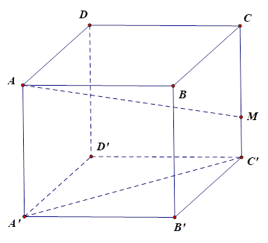 Cho hình hộp chữ nhật ABCD.A'B'C'D' có AB = 1, AD = 2, AA' = 3. Gọi M là một điểm trên đoạn CC' sao cho CM = 2MC'.  a) \(\overrightarrow {AA'}  = \frac{3}{2}\overrightarrow {CM} \). (ảnh 1)