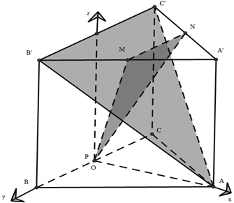 Cho hình lăng trụ tam giác đều ABC.A'B'C' có AB = 2√3 và AA' = 2. Gọi M, N, P lần lượt là trung điểm các cạnh A'B', A'C' và BC (tham khảo hình vẽ bên). (ảnh 2)