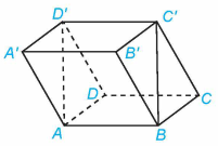 Cho hình hộp ABCD.A'B'C'D'. Hãy chỉ ra các vectơ chỉ phương của đường thẳng BC' mà điểm đầu và điểm cuối của vectơ đó (ảnh 1)