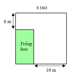          a) Diện tích mảnh đất hình vuông đó là \({x^2}{\rm{ }}\left( {{{\rm{m}}^2}} \right).\)           b) Biểu thức biểu diễn diện tích phần đất trồng hoa là \(\left( {x - 6} \right)\left( {x - 10} \right){\rm{ }}\left( {{{\rm{m}}^2}} \right).\)           c) Độ dài cạnh của mảnh đất hình vuông đó là \({\rm{15 }}\left( {\rm{m}} \right).\)           d) Diện tích phần còn lại của khu vườn lớn hơn \({\rm{185 }}\left( {{{\rm{m}}^2}} \right).\) (ảnh 1)