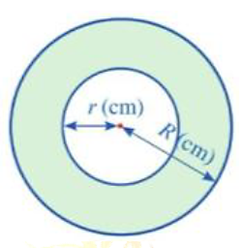          a) Diện tích miếng bìa hình tròn bán kính \(R\) cm là \(\pi {R^2}\) (cm2).           b) Diện tích miếng bìa hình tròn bán kính \(r\) cm là \(2\pi {r^2}\) (cm2).           c) Diện tích phần còn lại của miếng bìa là \(S = \pi {R^2} - 2\pi {r^2}\) (cm2).           d) Diện tích phần còn lại của miếng bìa lớn hơn \(181\) cm2 khi \(x = 8{\rm{ cm}}{\rm{, }}y = 2,5{\rm{ cm}}{\rm{.}}\) (ảnh 1)