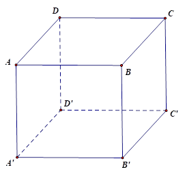 Cho hình lập phương ABCD.A'B'C'D' có cạnh là a. Vectơ nào bằng vectơ \(\overrightarrow {D'C'} \). (ảnh 1)