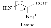 A black background with white text

Description automatically generated