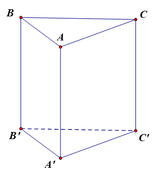 Trong không gian Oxyz, cho hình lăng trụ tam giác ABC.A'B'C' có A(1; 0; 2), B(3; 2; 5), C(7; −3; 9) và A'(5; 0; 1). Khi đó:
(a) \(\overrightarrow {AA'} = \left( {4;0; - 1} \right)\).
(b) \(\o (ảnh 1)