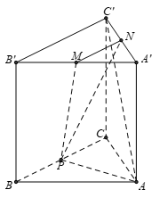Cho hình lăng trụ tam giác đều ABC.A'B'C' có AB = 2√3 và AA' = 2. Gọi M, N, P lần lượt là trung điểm các cạnh A'B', A'C' và BC (tham khảo hình vẽ bên). (ảnh 1)