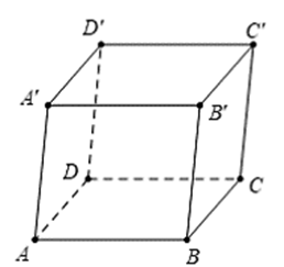 Cho hình lập phương \(ABCD.A'B'C'D'\). Có bao nhiêu vectơ có điểm đầu và điểm cuối là các đỉnh của hình lập phương bằng vectơ \(\overrightarrow {BC} \)? (ảnh 1)