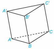 Cho hình lăng trụ ABC.A'B'C' (H.5.25). Trong các vectơ có điểm đẩu và điểm cuối đều là đỉnh của hình lăng trụ (ảnh 1)