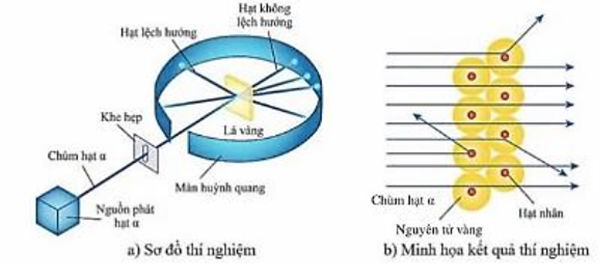 Emest Rutherford (E-nớt Rơ-dơ-pho) đã thí nghiệm bắn các hạt \(\alpha \) vào một lá vàng mỏng (Hình a). Trong thí nghiệm này, Rutherford sử dụng  (ảnh 1)