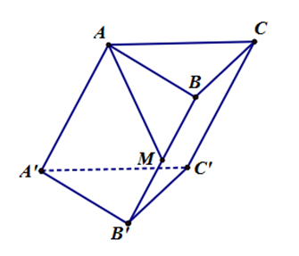 Cho hình lăng trụ ABC.A'B'C'. Gọi M là trung điểm của BB'. Trong các khẳng định sau, khẳng định nào đúng? (ảnh 1)