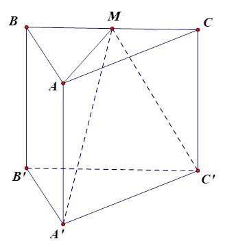 a) \(\overrightarrow {AC}  = \overrightarrow {AB}  + \overrightarrow {BC} \).  b) Gọi M là trung điểm BC. Khi đó \(\overrightarrow {A'M}  = \overrightarrow {A'A}  + \overrightarrow {A'B'}  - \overrightarrow {CM} \). (ảnh 1)