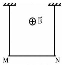 Treo đoạn dây dẫn MN có chiều dài l = 30 cm, khối lượng của một đơn vị chiều dài là  (ảnh 1)