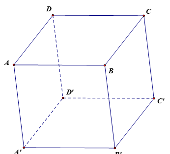 Cho hình hộp ABCD.A'B'C'D'. Tính tổng \(\overrightarrow {AB} + \overrightarrow {AD} + \overrightarrow {A'C'} \). (ảnh 1)
