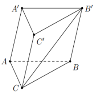 Hãy biểu diễn vectơ \(\overrightarrow {B'C} \) theo \(\overrightarrow a ,\overrightarrow b ,\overrightarrow c \)? (ảnh 1)