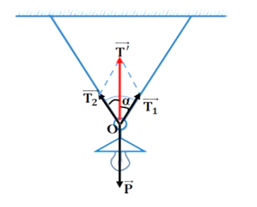 A diagram of a physics diagram

AI-generated content may be incorrect.
