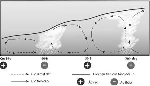 Cho sơ đồ sau: (ảnh 1)