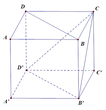 Trong không gian, cho hình lập phương \(ABCD\,A'B\,'C'D'\). Góc giữa hai vectơ \(\overrightarrow {BD} \,,\,\overrightarrow {B'C} \)bằng  (ảnh 1)