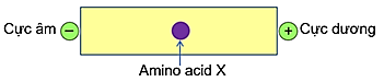 A diagram of a reaction

AI-generated content may be incorrect.