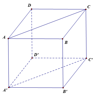 Cho hình lập phương ABCD.A'B'C'D'. Hãy xác định góc giữa cặp vectơ \(\overrightarrow {AB} \) và \(\overrightarrow {A'C'} \).
 (ảnh 1)