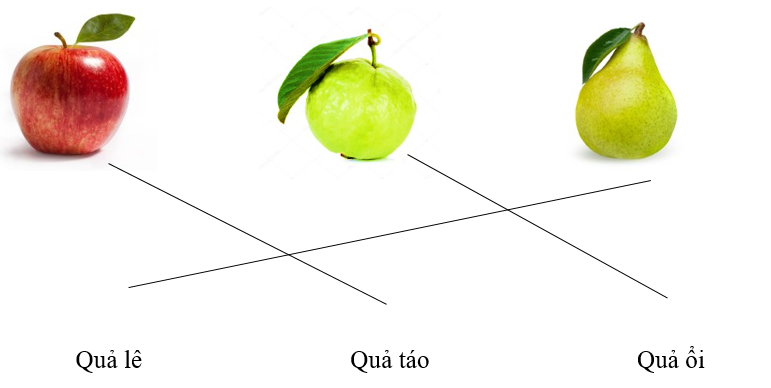 Nối hình ảnh với tên gọi tương ứng.  	 	     Quả lê	Quả táo	Quả ổi (ảnh 4)