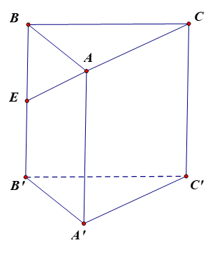 Cho hình lăng trụ ABC.A'B'C' có E là trung điểm của BB', biết \(\overrightarrow {AE} = m\overrightarrow {AA'} + n\overrightarrow {CA} + p\overrightarrow {CB} \). Giá trị của 2m – n + p bằng b (ảnh 1)
