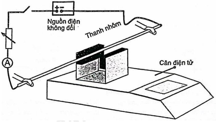 Để kiểm chứng tính chất của lực từ tác dụng lên một đoạn dây có dòng điện đặt trong từ trường đều, một học sinh dùng bộ thí nghiệm gồm có (ảnh 1)