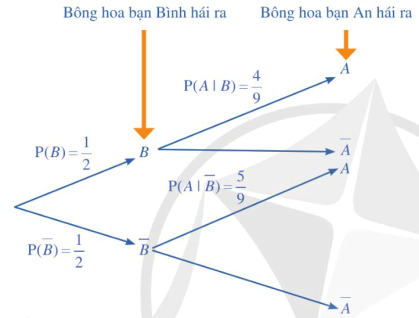Trong trò chời hái hoa có thưởng của lốp 12 A , cô giáo treo 10 bông hoa trên cành cây, trong đó có 5 bông hoa chứa phiếu có thưởng. (ảnh 1)