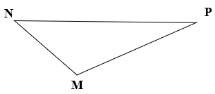 Dùng ê-ke, thước thẳng để vẽ các đường cao của tam giác MNP. (ảnh 1)