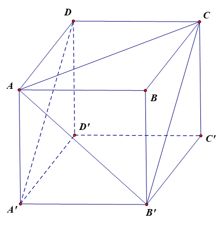 Cho hình lập phương ABCD.A'B'C'D'. Góc giữa hai vectơ \(\overrightarrow {AC} ,\overrightarrow {DA'} \) bằng (ảnh 1)