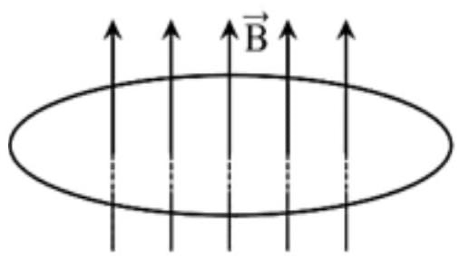 Một vòng dây dẫn phẳng kín (C) có bán kính (ảnh 1)